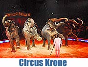 1. Winterspielzeit des Circus Krone - Premiere am 25.12.2007. Bei uns finden sie Fotos und ein Video von der Premiere (Foto: Ingrid Grossmann)